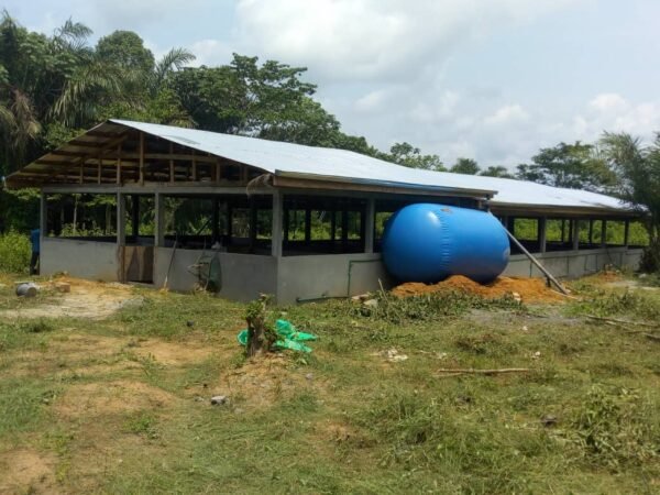 BPT 60 m3 Biogas Storage (1)